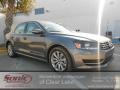 Platinum Gray Metallic - Passat 2.5L SEL Photo No. 1
