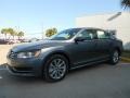Platinum Gray Metallic - Passat 2.5L SEL Photo No. 3