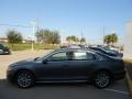 Platinum Gray Metallic - Passat 2.5L SEL Photo No. 4