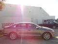 Platinum Gray Metallic - Passat 2.5L SEL Photo No. 8