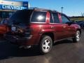 2006 Bordeaux Red Metallic Chevrolet TrailBlazer LS  photo #3