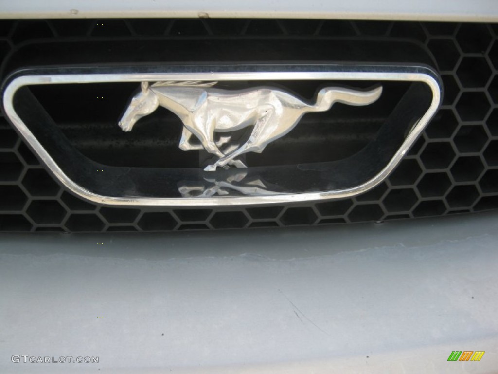 2002 Mustang V6 Coupe - Satin Silver Metallic / Dark Charcoal photo #19