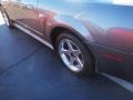 2001 Mineral Grey Metallic Ford Mustang Cobra Coupe  photo #4
