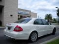 2008 Arctic White Mercedes-Benz E 550 Sedan  photo #6