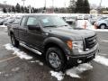 Sterling Gray Metallic 2012 Ford F150 STX SuperCab 4x4 Exterior