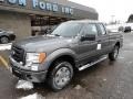 Sterling Gray Metallic - F150 STX SuperCab 4x4 Photo No. 8