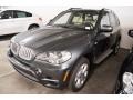 Platinum Gray Metallic - X5 xDrive35d Photo No. 9