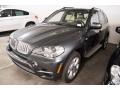 2012 Platinum Gray Metallic BMW X5 xDrive35d  photo #9