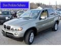 Olivin Green Metallic 2005 BMW X5 3.0i