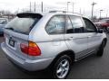 Titanium Silver Metallic - X5 3.0i Photo No. 6