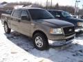 2005 Arizona Beige Metallic Ford F150 XLT SuperCrew  photo #2