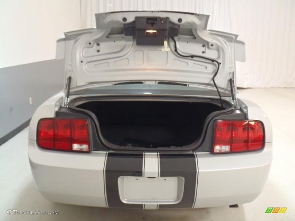 2007 Mustang V6 Premium Coupe - Satin Silver Metallic / Dark Charcoal photo #7