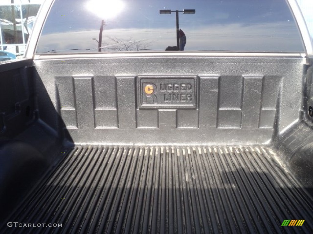 2005 F150 XLT SuperCrew - Arizona Beige Metallic / Tan photo #10
