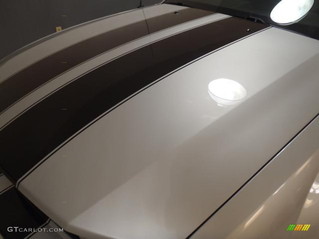2007 Mustang V6 Premium Coupe - Satin Silver Metallic / Dark Charcoal photo #18