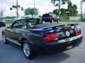 2006 Black Ford Mustang V6 Premium Convertible  photo #6