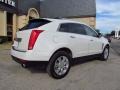Platinum Ice Tricoat - SRX V6 Photo No. 3
