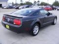 2007 Alloy Metallic Ford Mustang V6 Deluxe Coupe  photo #6