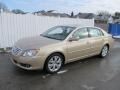 Sandy Beach Metallic 2010 Toyota Avalon XLS