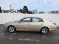 Sandy Beach Metallic - Avalon XLS Photo No. 2
