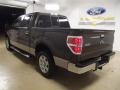 Stone Green Metallic - F150 XLT SuperCrew Photo No. 6