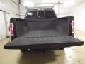 2009 Stone Green Metallic Ford F150 XLT SuperCrew  photo #8