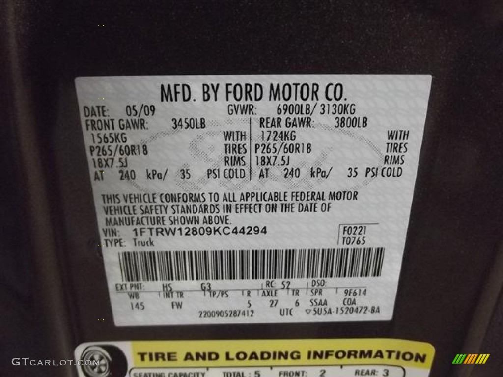 2009 F150 Color Code HS for Stone Green Metallic Photo #59172501