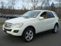 Arctic White - ML 350 4Matic Photo No. 3