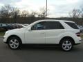 Arctic White - ML 350 4Matic Photo No. 4