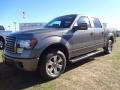 Sterling Gray Metallic - F150 FX2 SuperCrew Photo No. 3