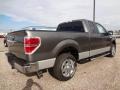 Sterling Gray Metallic 2012 Ford F150 XLT SuperCab Exterior