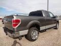 Sterling Gray Metallic 2012 Ford F150 XLT SuperCab Exterior