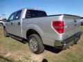 2012 Ingot Silver Metallic Ford F150 XLT SuperCrew  photo #5