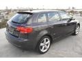 Lava Grey Pearl Effect - A3 2.0T Photo No. 9
