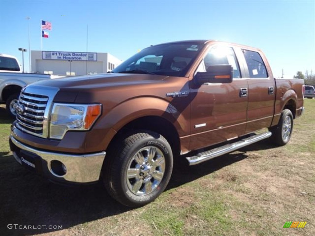 2012 F150 XLT SuperCrew - Golden Bronze Metallic / Pale Adobe photo #3