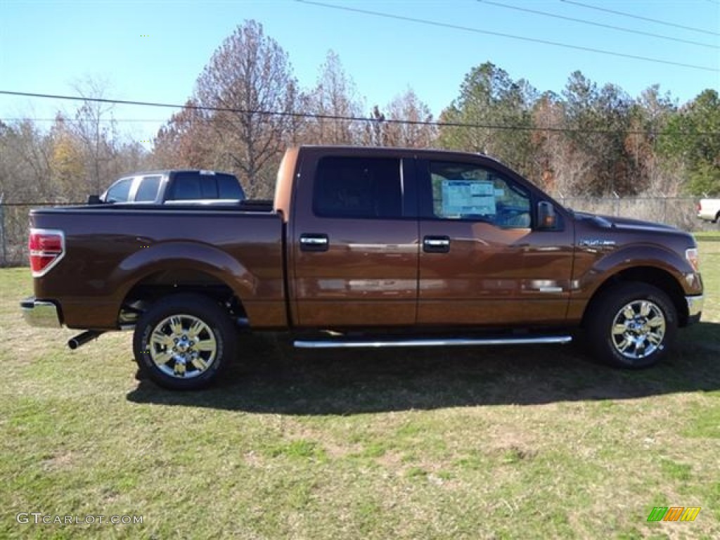 2012 F150 XLT SuperCrew - Golden Bronze Metallic / Pale Adobe photo #8