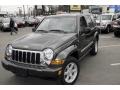 2005 Dark Khaki Pearl Jeep Liberty Limited 4x4  photo #1