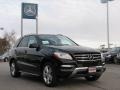 Black - ML 350 4Matic Photo No. 3