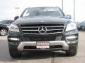 Black - ML 350 4Matic Photo No. 2