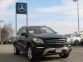 Black - ML 350 4Matic Photo No. 3