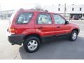 2002 Bright Red Ford Escape XLS V6 4WD  photo #4