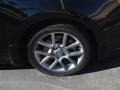 Super Black - Sentra SE-R Photo No. 3