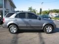 Alpine Gray - Sorento LX Photo No. 10