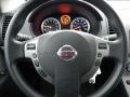 Red Brick Metallic - Sentra 2.0 Photo No. 4