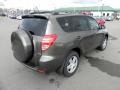 Pyrite Metallic - RAV4 I4 4WD Photo No. 6