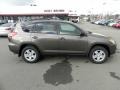 Pyrite Metallic - RAV4 I4 4WD Photo No. 7
