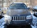 Graphite Metallic - Grand Cherokee Laredo 4x4 Photo No. 2