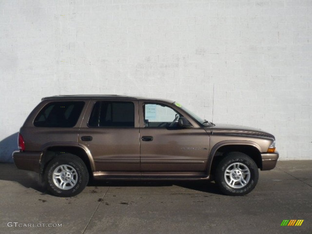 Medium Bronze Pearl 2001 Dodge Durango SLT 4x4 Exterior Photo #59218010