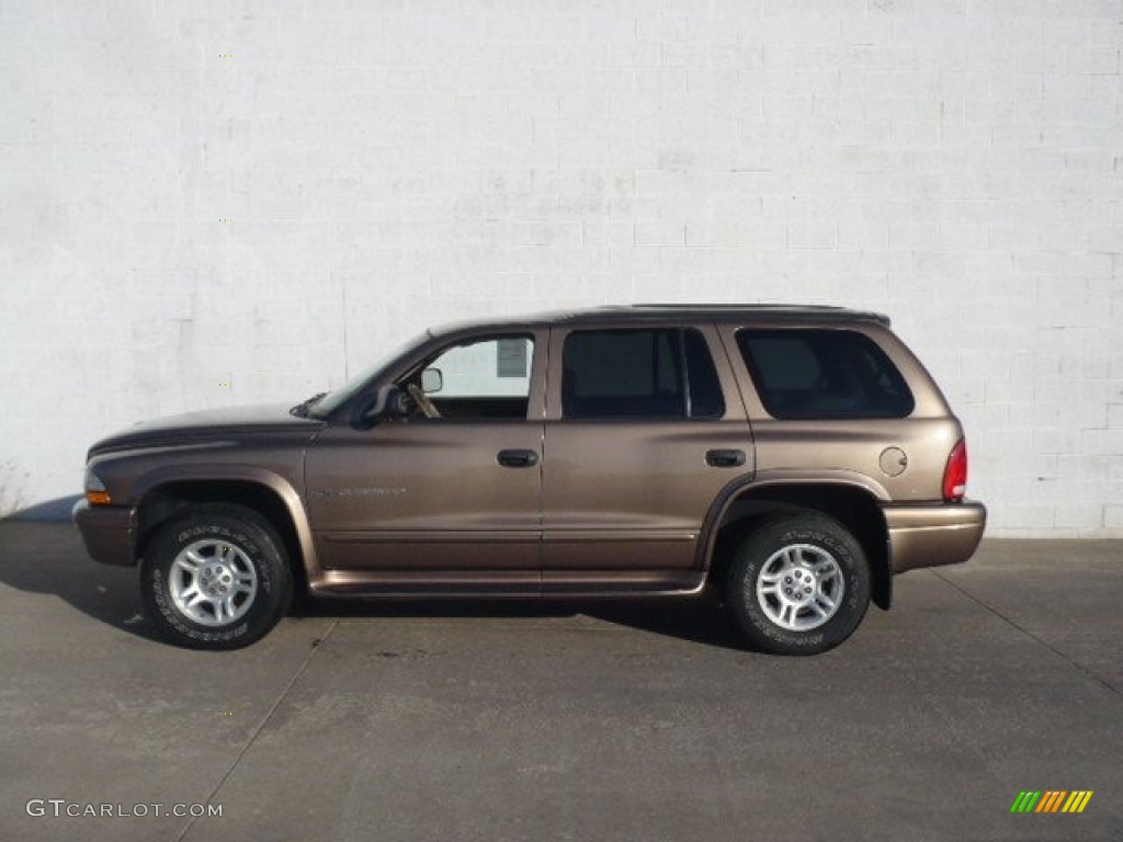 Medium Bronze Pearl 2001 Dodge Durango SLT 4x4 Exterior Photo #59218019