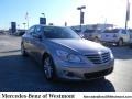Platinum Metallic - Genesis 4.6 Sedan Photo No. 1