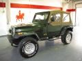 1995 Moss Green Pearl Jeep Wrangler Rio Grande 4x4 #59168327